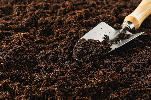 Грунт плодородный на основе конского навоза