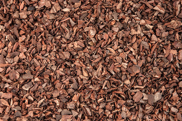 Кора сосновая для мульчирования