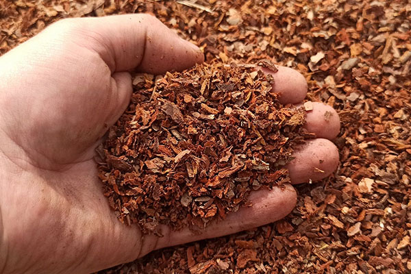 Отсев сосновой коры (мелкая фракция)