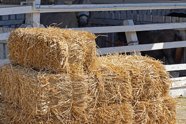 Солома в тюках (прессованная)
