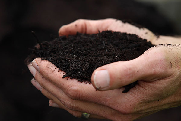 Торф низинный (нейтральный)