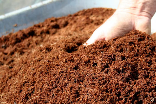 Торф верховой (кислый)