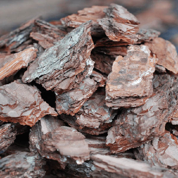 Купить сосновую кору (крупная фракция 8-12 см) в Минске