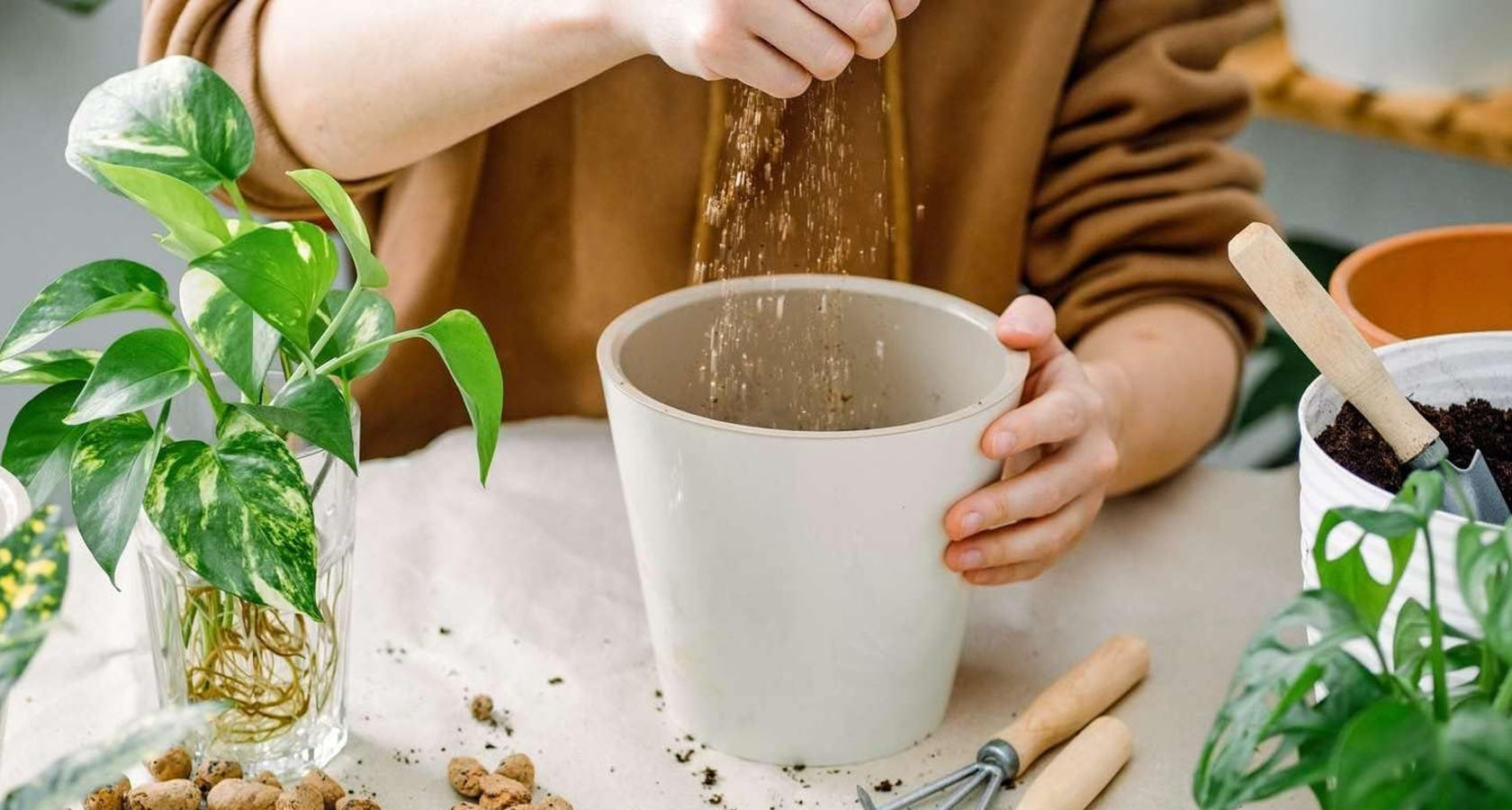 Вермикулит для комнатных растений: как использовать для фиалки, монстеры | ggarden.by